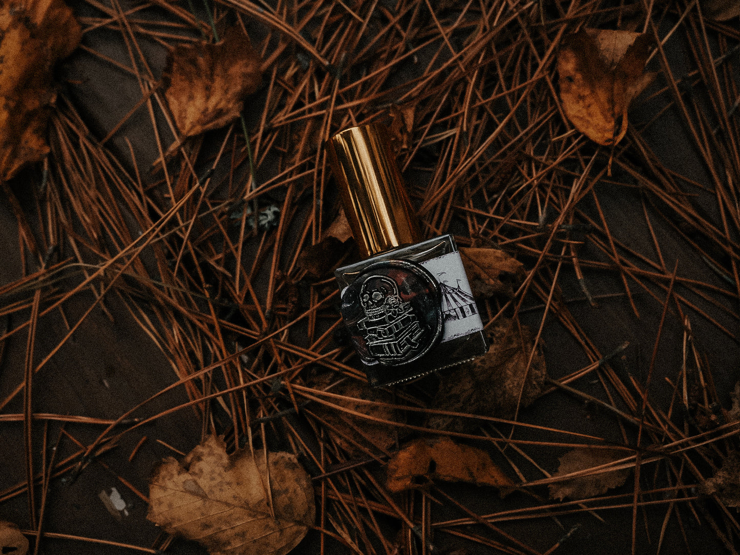 Sinners’ Circus | Dance For Demons by Rose Santoriello