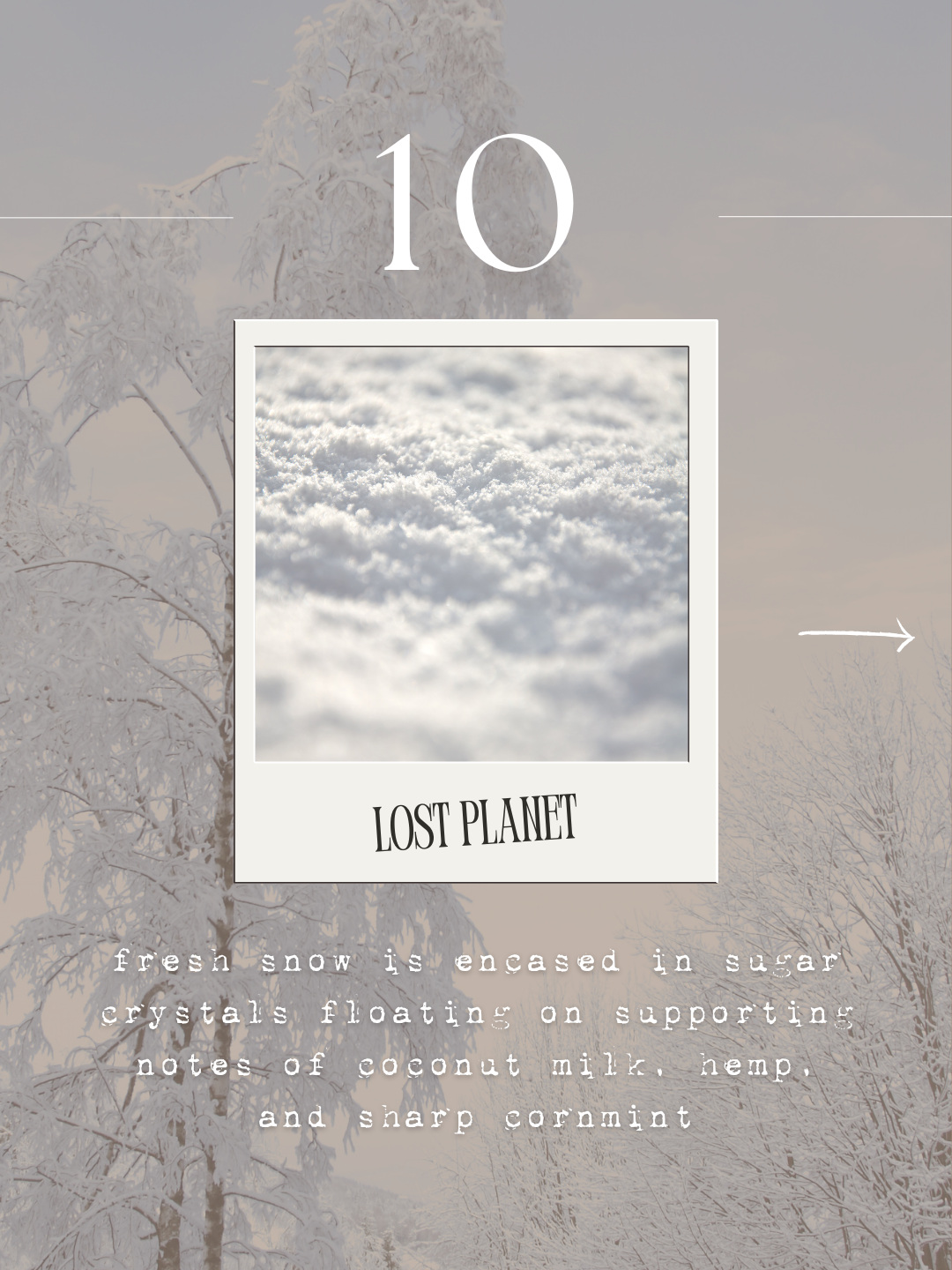 Fall & Winter Fine Fragrance Collection