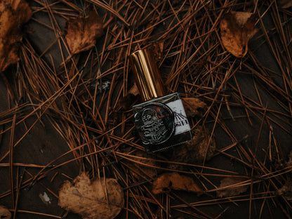 Sinners’ Circus | Dance For Demons by Rose Santoriello