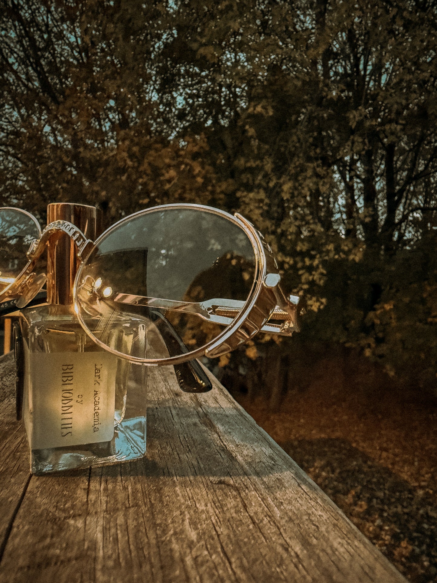 Oleander Reading Glasses // Blue Light Blocking