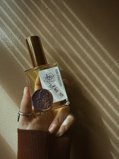 Complete 2025 Author Collaboration Library // PREORDER